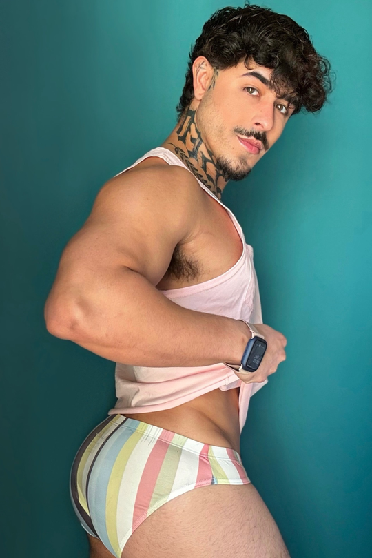 Lovesick Briefs - Retro Stripes